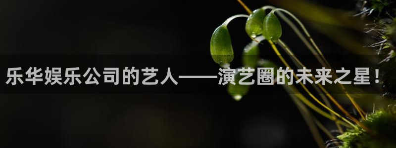 耀世娱乐登录