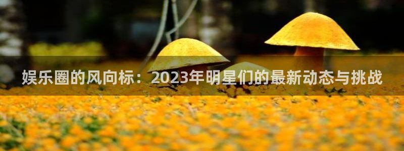 耀世娱乐注册